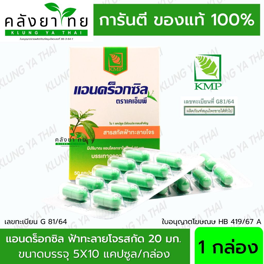 แอนดร็อกซิล Androxil แอนดร็อกซิล ตรา KMP ฟ้าทะลายโจรสกัด 20 มก. (1 กล่อง : 50 แคปซูล)