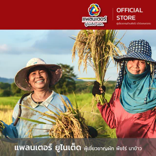 เดอะเน็กซ์ ขนาด 1 กิโลกรัม│เทพวัฒนา ตราปลาคู่│ยาแมลง สารป้องกันกำจัดแมลง (หนอนเจาะผล หนอนเจาะดอก เพลี้ยไฟ)
