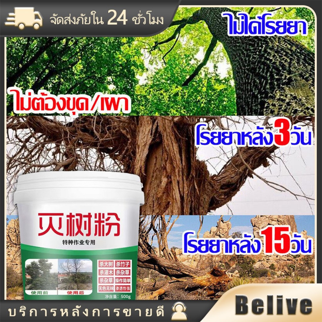 500g ยาฆ่าต้นไม้ใหญ่ ถึงราก ผงกำจัดต้นไม้ กอไผ่ ยาฆ่าหญ้า เหมาะสำหรับกำจัดวัชพืช ต้นไม้ และไผ่ทุกชนิด
