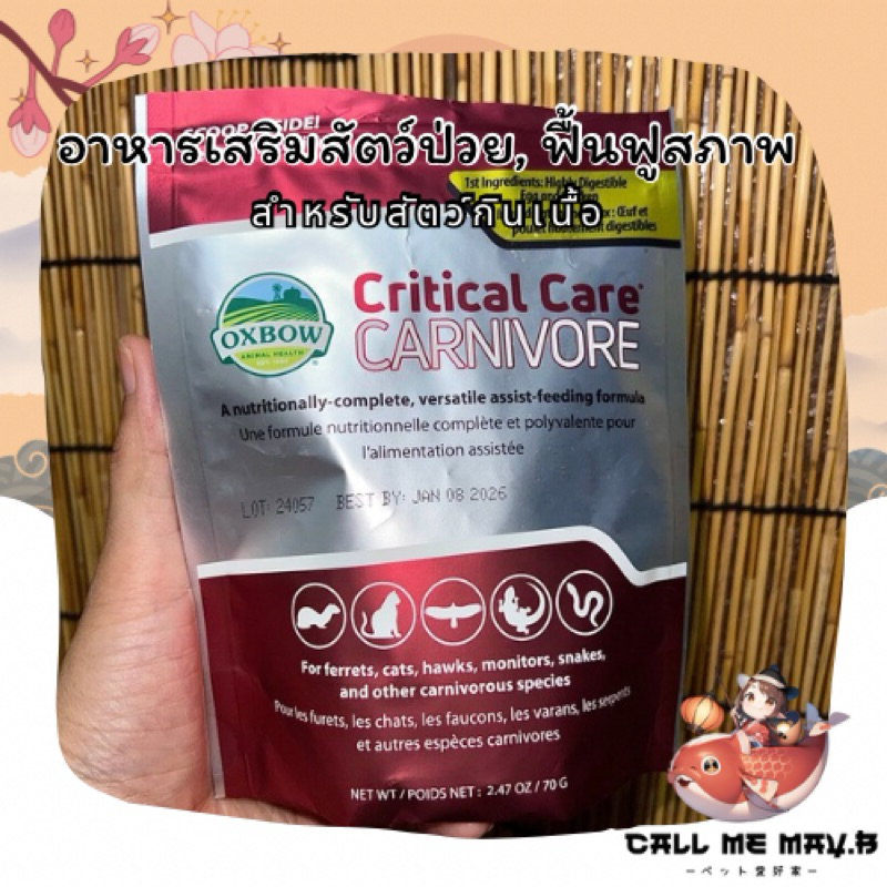 (ส่งไว) OXBOW Critical Care Carnivore อาหารสัตว์ป่วย | สำหรับสัตว์กินเนื้อ