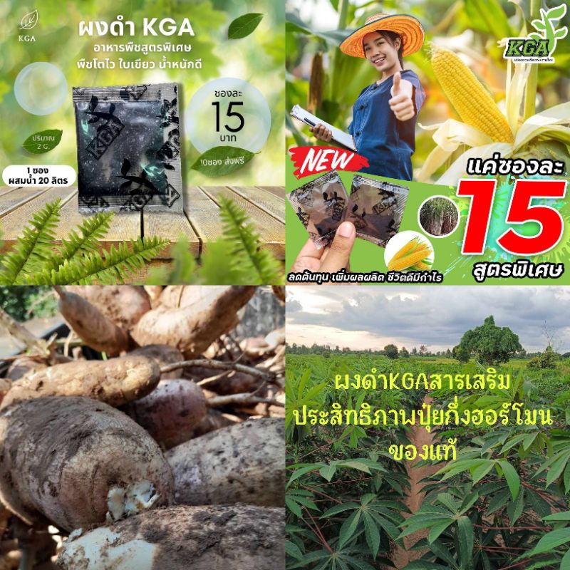 ผงดำ KGA สารเสริมประสิทธิภาพปุ๋ยกึ่งฮอร์โมน ลดปุ๋ย ลดเคมี  ชีวิตดี มีกำไร