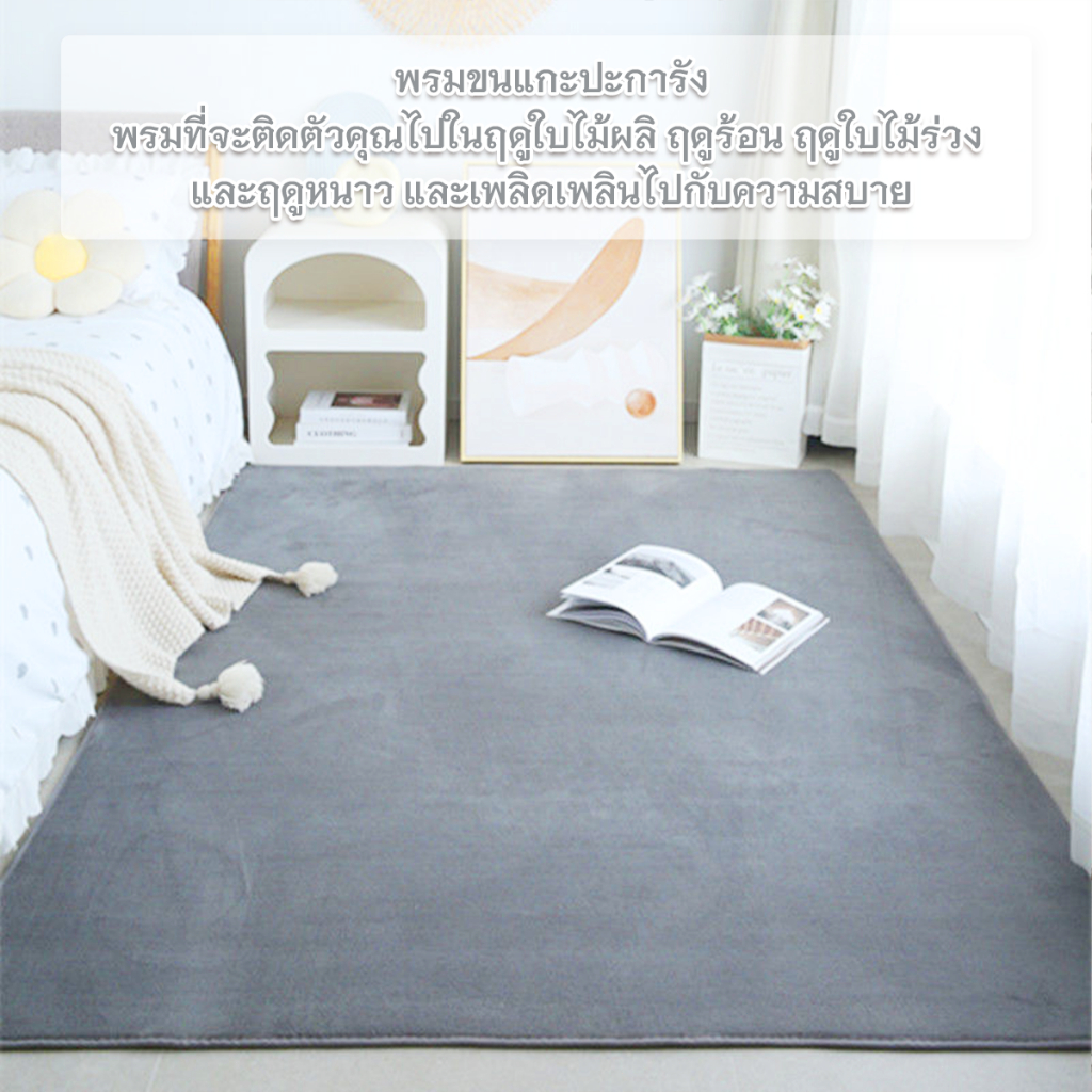 พรมปูพื้นห้อง พรมมินิมอล พรมตกแต่ง พรมขนสั้น วัสดุขนแกะปะการัง พรม 5 ฟุต 6 ฟุต รูปที่ 5