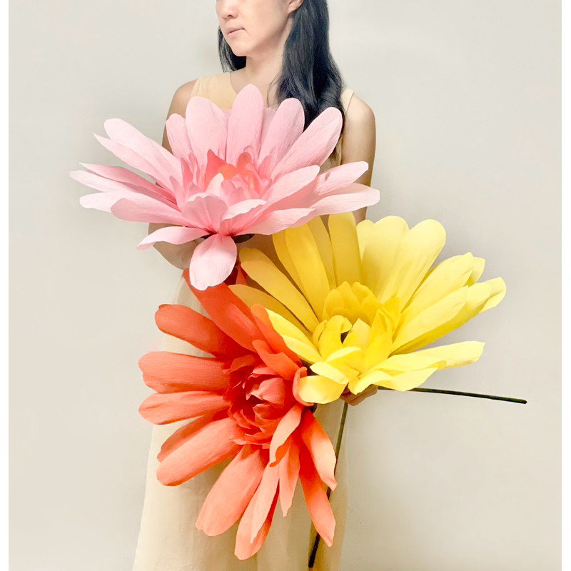 ดอกเยอบีร่า Gerbera flower ขนาด 50 ซม ก้านยาว 70-80 ซม Giant flower paper ดอกไม้กระดาษยักษ์