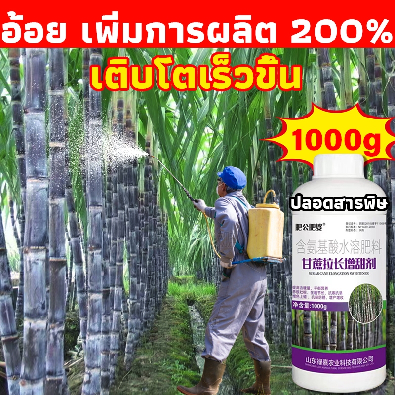 สูตรใหม่ล่าสุดปุ๋ยน้ำ ปุ๋ยฉีดอ้อย ฮอร์โมนสำหรับพืช1000ml เร่งโตอ้อย ลำใหญ่ ค่าความหวานดีผลผลิตต่อไร่สูง