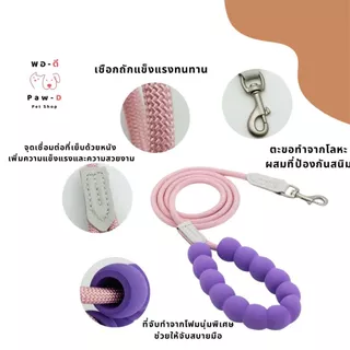 PAW-D ชุดสายจูงและรัดอกสุนัข ดีไซน์สองสี Two-Tone Dog Harness & Leash Set