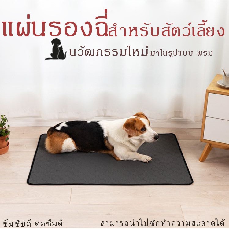 🔥จัดส่งเฉพาะจุด🔥แผ่นฉี่สุนัข แผ่นฉี่สัตว์เลี้ยง 4 ชั้น ดูดซับได้ดี แผ่นฉี่สุนัข สามารถซักและนำกลับมาใช้ใหม่ได้
