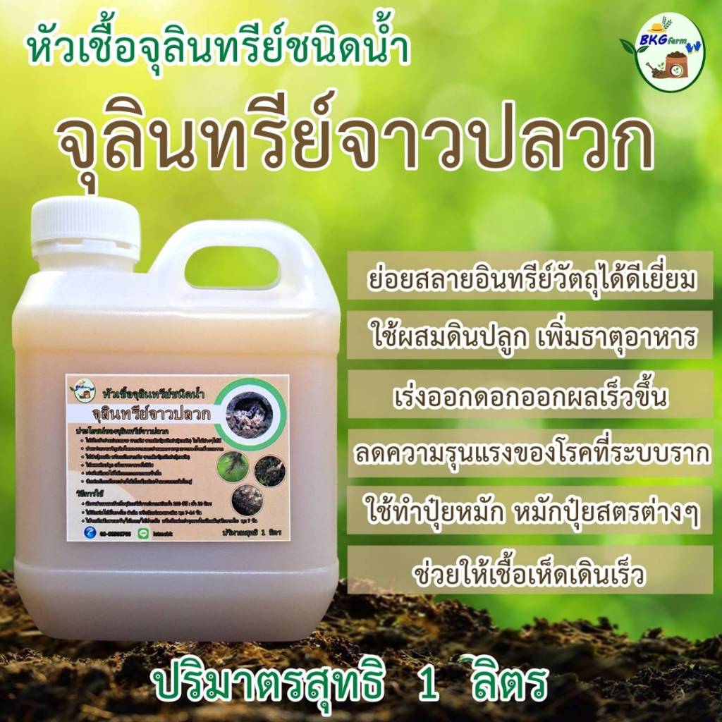 หัวเชื้อจุลินทรีย์จาวปลวกชนิดน้ำ หัวเชื้อจุลินทรีย์ชนิดน้ำ