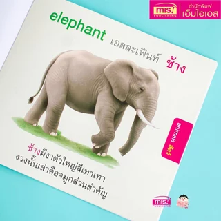 MISBOOK หนังสือหนูชอบสัตว์น่ารัก หนูชอบกินผัก หนูชอบกินผลไม้ (ซื้อแยกเล่มได้)
