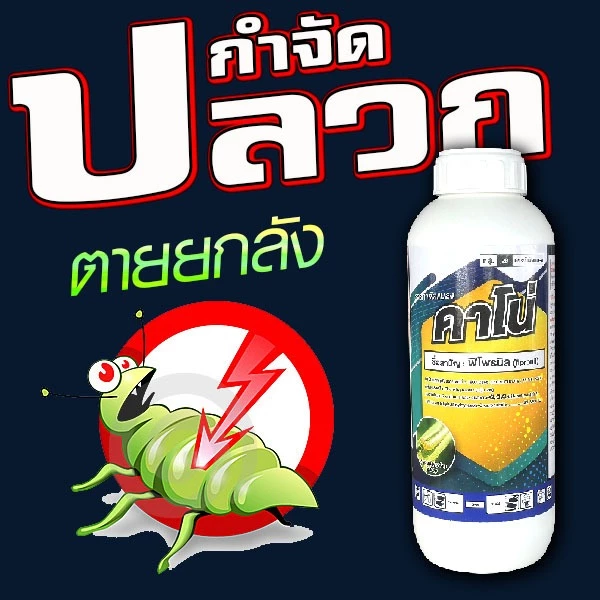 ยากำจัดปลวก คาโน่ ตัวเดียวกับ แมส แอสเซนด์ 1 ลิตร สาร ฟิโพรนิล กำจัดปลวก หนอนใบขาว แมลงมอด ตายยกรัง เพลี้ยไฟ