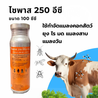 ไซพาส 250 อีซี Cypas 100ml น้ำยาพ่นยุง กำจัดเห็บ หมัด ไร แมล…