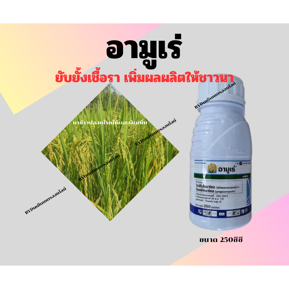 อามูเร่ ขนาด250ซีซี  สารไดฟีโนโคนาโซล+โพริพิโคนาโซล สุดเข้มข้น ตัวจริง ปกป้องคุมครองนาข้าวจากโรคพืชและเพิ่มผลผลิต