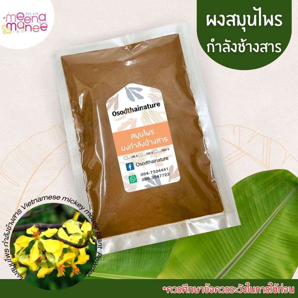 สมุนไพรกำลังช้างสาร (ผงสมุนไพร) บดละเอียด ขนาด 100 500 1000 กรัม สมุนไพรแท้ 100%