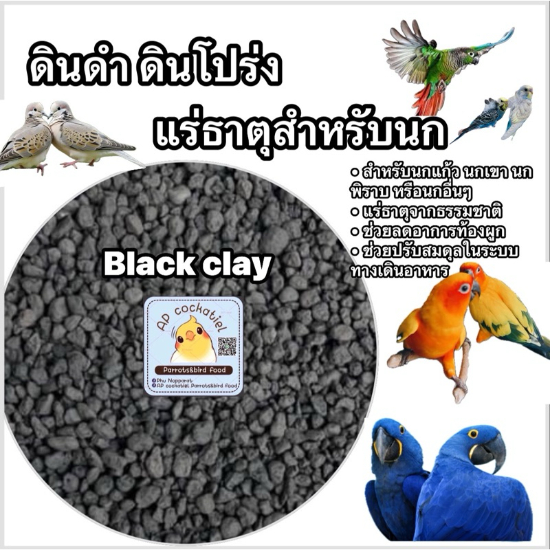 ดินดำ ดินโปร่ง แหล่งรวมแร่ธาตุสำหรับนก
