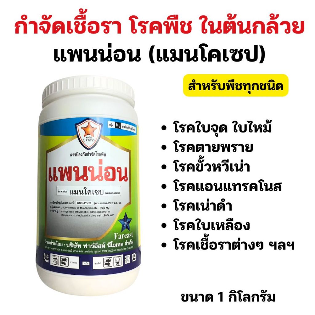 ต้นกล้วย ผลเน่าดำ ใบไหม้ ใบจุด ตายพราย โรคพืชจากเชื้อราต่างๆ กำจัดด้วย แพนน่อน ใช้ได้กับพืชทุกชนิด