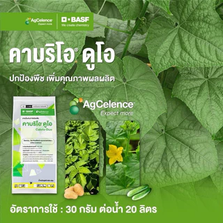 คาบริโอ® ดูโอ ไพราโคลสโตรบิน+เมทิแรม สารป้องกันกำจัดโรคพืช ได้ทั้งราชั้นสูงและช้ันต่ำ ปลอดภัยใช้ได้ทุกพืช คาบริโอ ดูโอ้