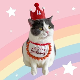 (A07-3)(ได้ทั้งชุด พร้อมส่ง!!) ผ้ากันเปื้อนสัตว์เลี้ยงงานปัก ปลอกคอ HBD+มีเลขอายุพร้อมหมวกปรับสายได้ น่ารักมากๆ