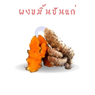 ผงขมิ้นชันแก่ ขนาด20g/50g/100g