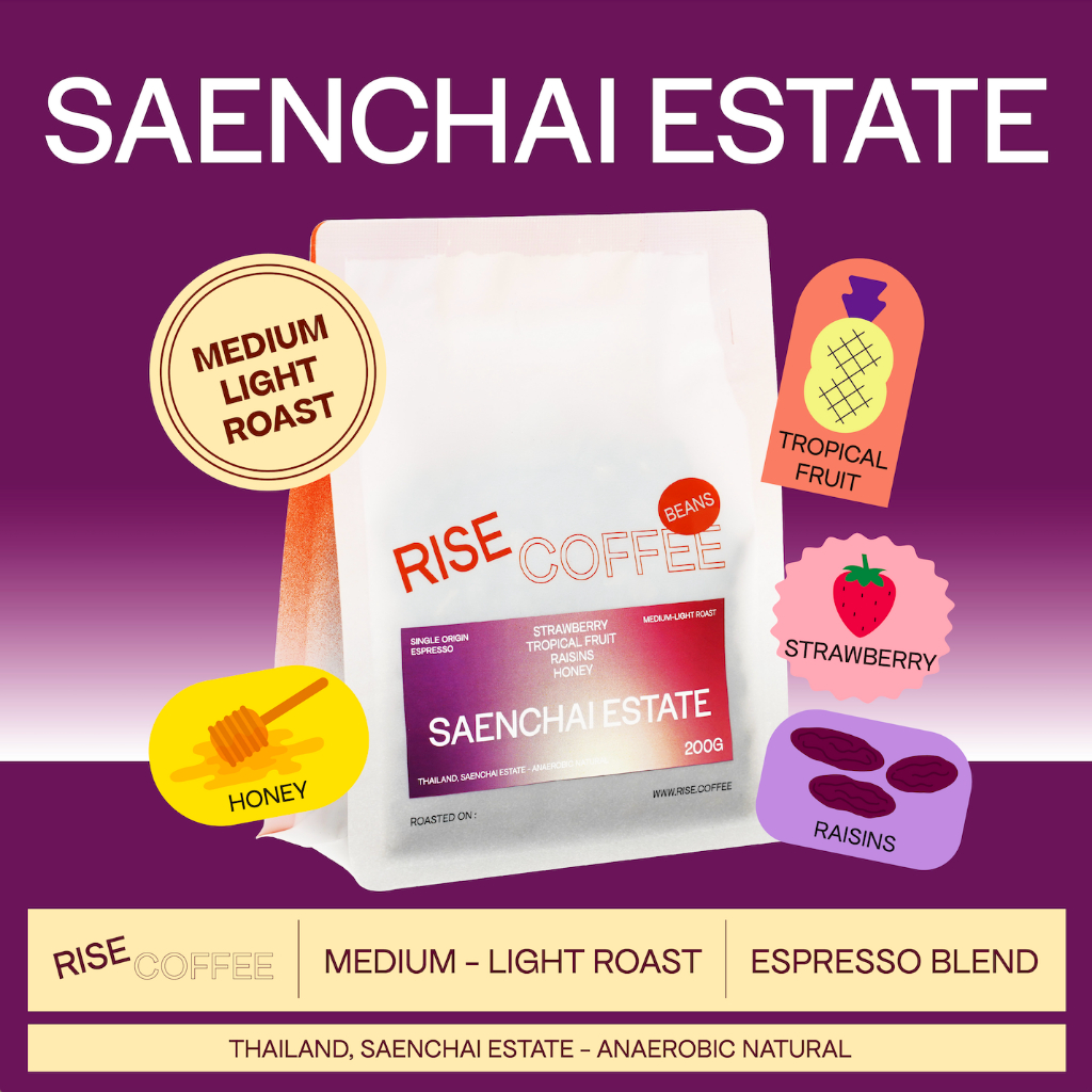 RISE COFFEE เมล็ดกาแฟคั่วกลางอ่อน Saenchai Estate กาแฟจากโปรดิวเซอร์ชื่อดัง"เเสนชัย จูเปาะ" จ.เชียงใ