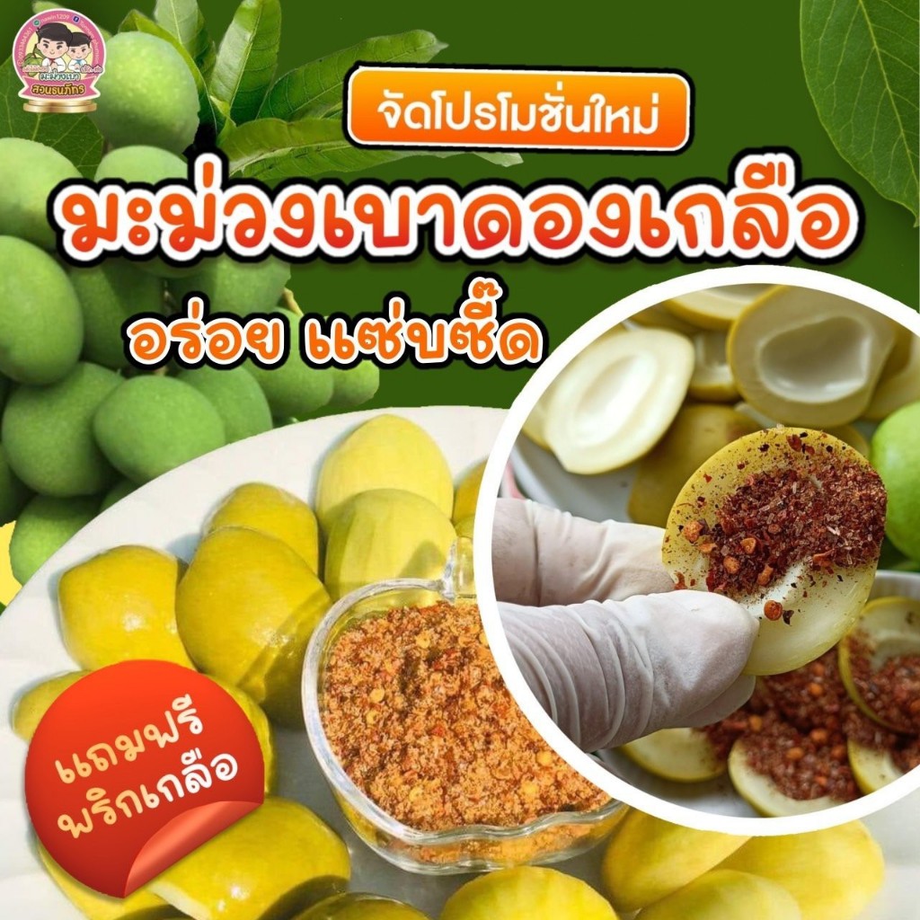 มะม่วงเบาดองเกลือ ขนาด 500 กรัม.  ฟรีพริกเกลือ..สวนธนภัทร - รูปที่ 2