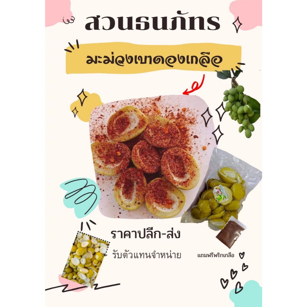 มะม่วงเบาดองเกลือ ขนาด 500 กรัม.  ฟรีพริกเกลือ..สวนธนภัทร - รูปที่ 7