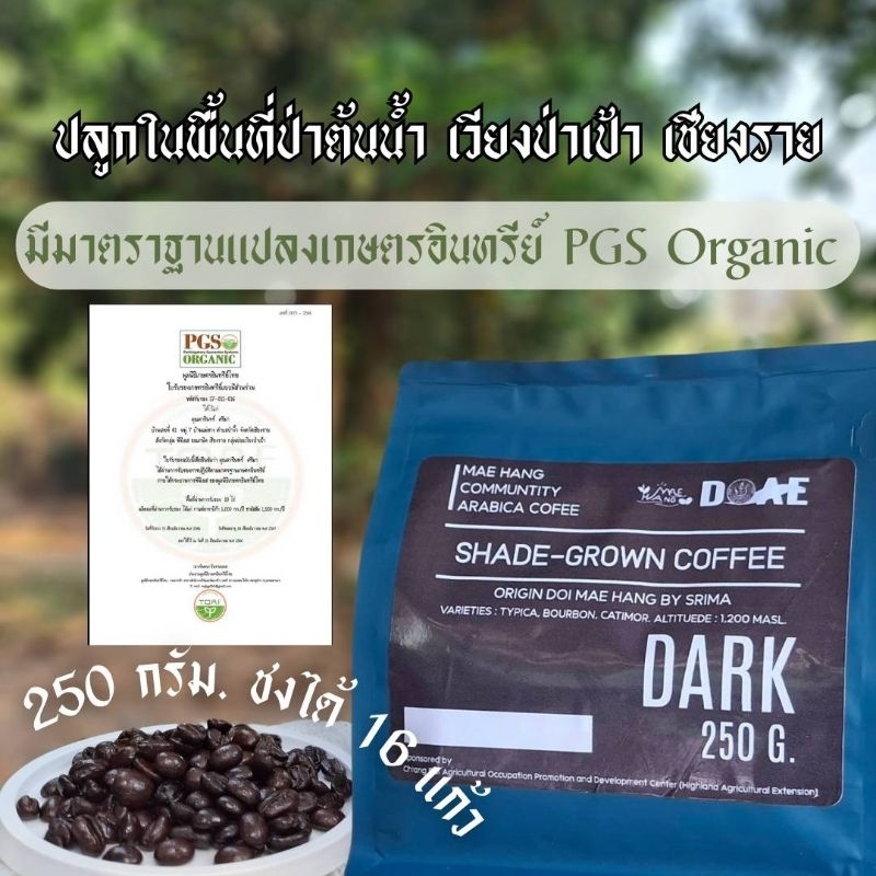 ดอยแม่หาง เมล็ดกาแฟคั่วเข้ม คั่วสดใหม่ Organic อาราบิก้า เชียงราย 250 กรัม