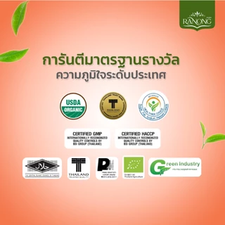 Ranong Tea เรนองที 🌱 ชาเขียว มัทฉะลาเต้ / ชาไทย 3in1 นมผงจากนิวซีแลนด์ ผงมัทฉะ Thaitea