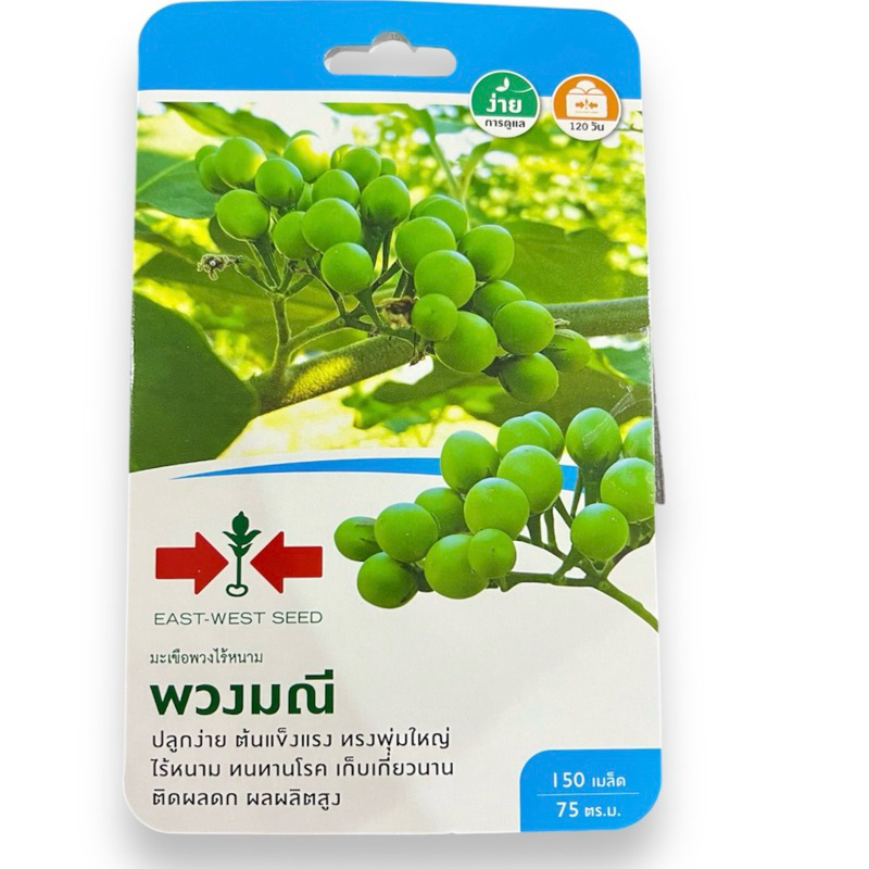 ศรแดง เมล็ด มะเขือพวง พวงมณี (150 เมล็ด)