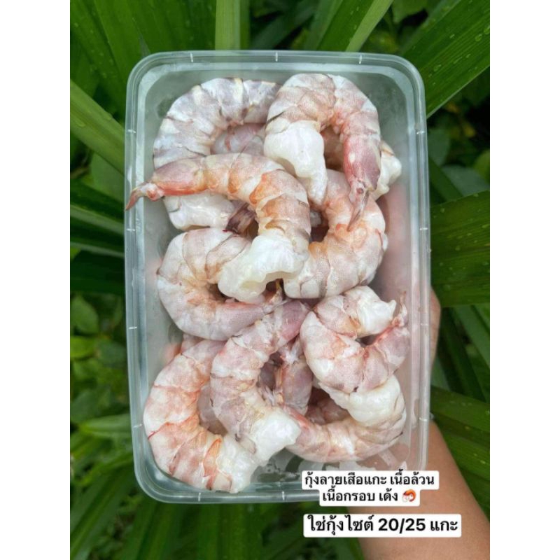 กุ้งลายเสือแกะเนื้อล้วน ไซส์ก่อนแกะ 20-25 ตัวโล กล่องละ300กรัม  เนื้อกรอบ เนื้อเด้ง กุ้งแกะสดๆจากระนอง แล้วนำไปแช่แข็ง