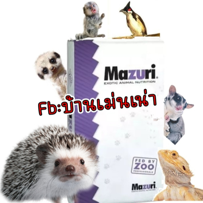 Mazuri(5M6C)EXP:09/2026 มาซูริ อาหารเม่นแคระ ชูก้าร์ ลิงมาโมเสท เบี๊ยดดราก้อน และสัตว์กินแมลงทุกชนิด