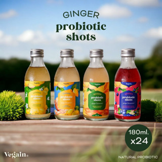 VEGAIN [ขิงหมัก] Ginger Probiotic Shot x 24 ขวด (180ml./ขวด)