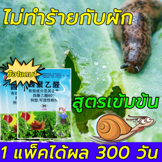 🐌ใช้ดีเห็นผลในคืนเดียว🐌 ยาฆ่าหอยทาก ยาฆ่าหอย ยากำจัดหอยทาก เมทัลดีไฮด์ 80% กำจัดหอยทาก ยาหอย ยากำจัดหอย ปลอดภัยต่อคน