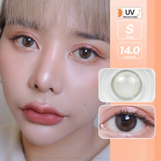 Honey bee (Gray) ค่าสายตา 0.00-10.00 คอนแทคเลนส์