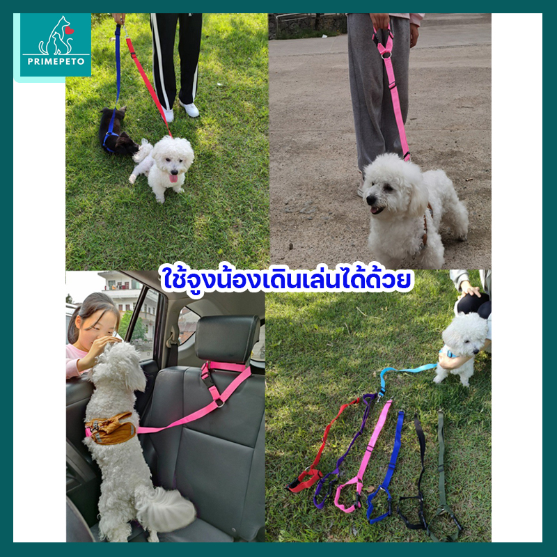 เชือกนิรภัยสัตว์เลี้ยงในรถ ล็อคตัวน้องเวลาเดินทาง เข็มขัดนิรภัยสุนัข แมว น้องไม่กวน ใช้ล็อคสุนัขในรถ - รูปที่ 2