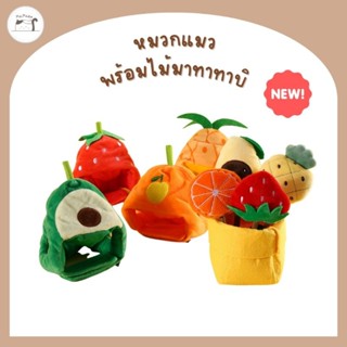 หมวกผลไม้​ พร้อมของเล่นไม้มาทาทาบิ​ สำหรับขัดฟันน้องแมว