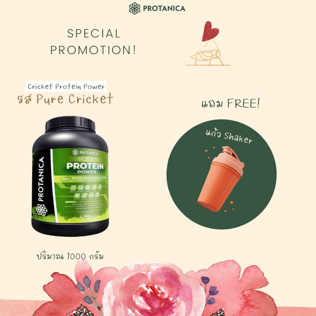 โปรทานิก้า โปรตีนผง โปรตีนจิ้งหรีด ผงชงดื่ม ดั่งเดิม Protein drink cricket protein powder drink orig