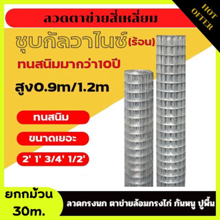 ลวดตาข่ายสี่เหลี่ยมชุบกัลวาไนซ์ชุบร้อน ยาว30m. กันสนิม!! ลวดกรงนก ตะข่ายล้อมกรงไก่ กันงูกันหนู ปูพิ้น ตาข่ายสี่เหลี่ยม