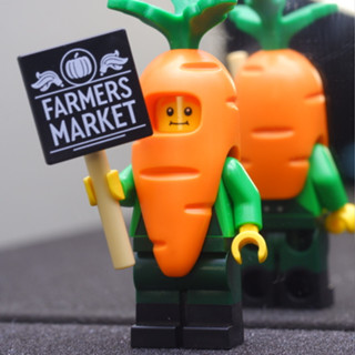 LEGO Carrot Mascot Series 24 PloyBrick