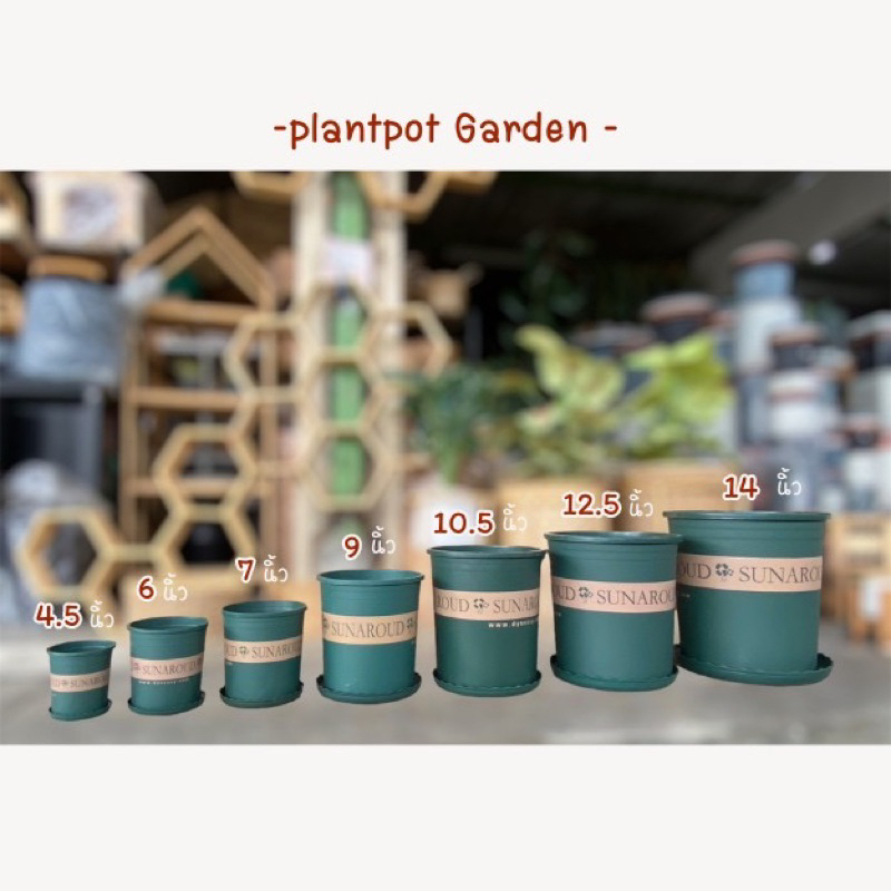 กระถางสไตล์มินิมอล สีเขียวทรงสูง พร้อมจานรอง