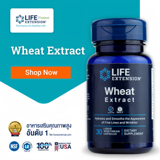 LE Wheat Extract บำรุงผิว เพิ่มความชุ่มชื้นแก่ผิว ลดริ้วรอย Life Extension Thailand