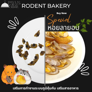 [Paws-sible] Rodent Bakery: หอยลายอบแห้ง