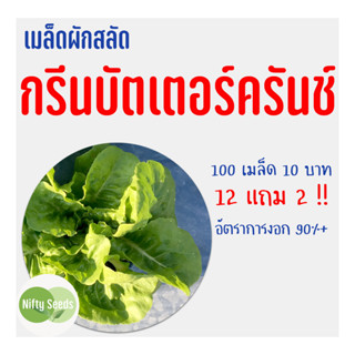 เมล็ดสลัด กรีนบัตเตอร์ครันช์ 100 เมล็ด 10 บาท งอกดีมีคู่มือในการปลูก