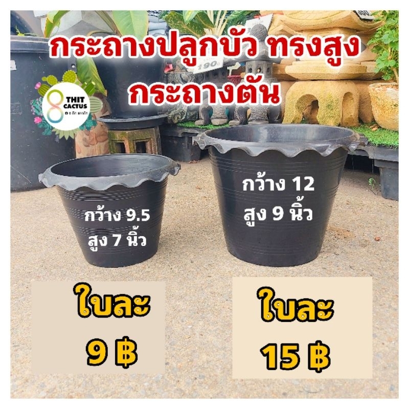 // กระถางบัว 12 นิ้ว // แบบตัน // พลาสติก เกษตร
