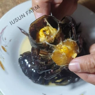 ปูนาดองน้ำปลากวนอร่อยไม่เค็ม