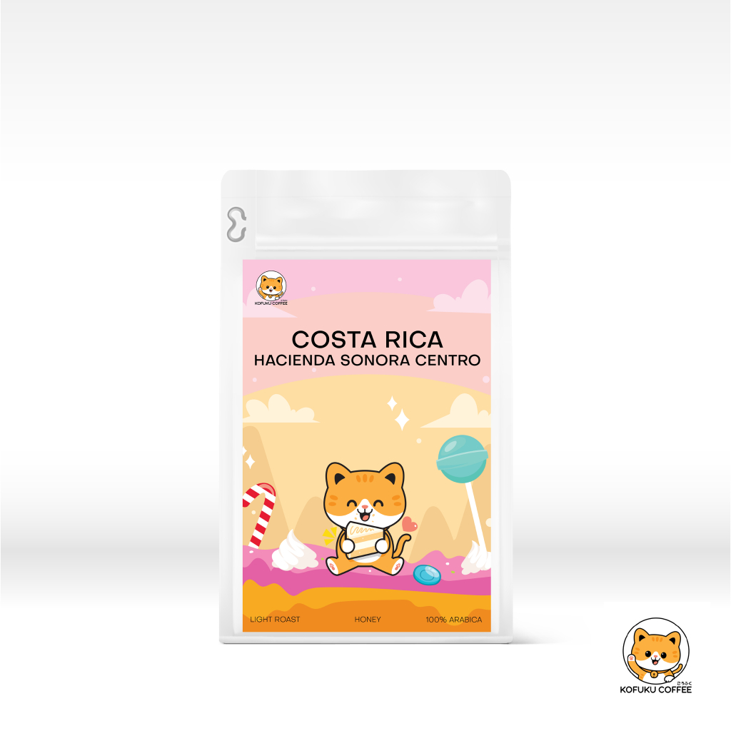 KOFUKU COFFEE เมล็ดกาแฟ COSTA RICA HACIENDA SONORA CENTRO คั่วอ่อน Light Roast
