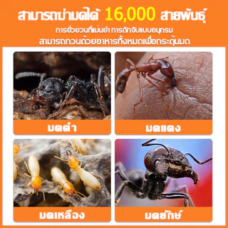 🐜ไม่มีมด100ปี💯ยาฆ่ามด ยาฆ่ามดตายยกรัง ยาฆ่ามดคันไฟ ยากำจัดมด 50g ไม่เป็นอันตรายต่อคน อัตราตาย 200%