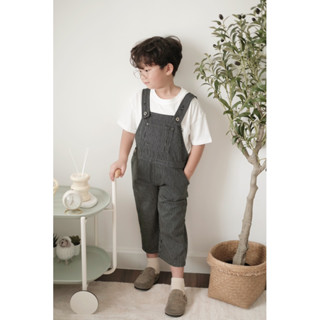 เอี๊ยมยีนส์ลายทาง Small stripe long overall