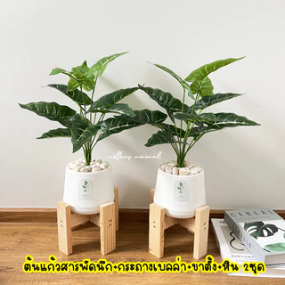 (🔥ส่งด่วน) 1แถม1 ต้นไม้ปลอม ความสูง 40-50 cm. แต่งบ้านพร้อมกระถางใครไม่มีเวลาดูแล ต้องโดนตกนะจ๊ะ ฟรีหินโรย!!
