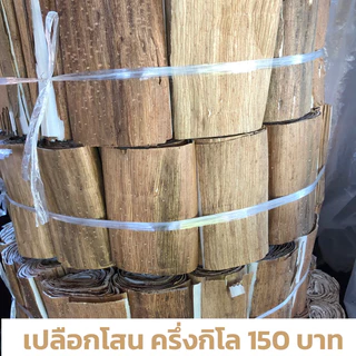 โสนแผ่นพับกลีบกระพุ้งวงละ1ขีดหรือน้ำหนัก100กรัมจัดส่งทุกวันตัดรอบ13.00น.