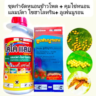 ชุด กำจัดหนอน และ คุมไข่หนอน ข้าวโพด แลมบ์ดา ไซฮาโลทริน 1 L + ลูเฟนนูรอน 500 ccกำจัดหนอนกระทู้ หนอนเจาะ หนอนชอนใบ คุมไข่