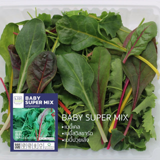 [ตัดสดทุกออเดอร์] เบบี้ซุปเปอร์มิกซ์ (Baby Super Mix) เบบี้ลีฟ ผักสดสะอาด ปลอดสารเคมี